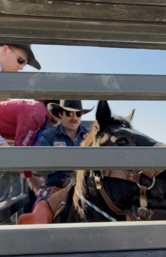 Chance West professional rodeo photography 8