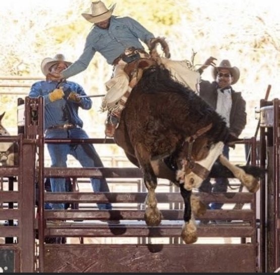 Chance West professional rodeo photography 12